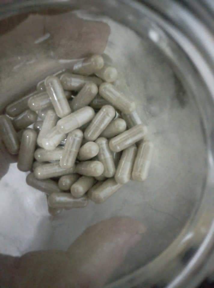 A person holding magic mushrooms in the UK, representing psilocybin therapy for mental health in 2026