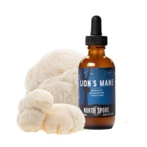 Organic Lion’s Mane Mushroom Tincture Extract – The Liquid Focus Booster for Mental Clarity, Nerve Support & Brain Health