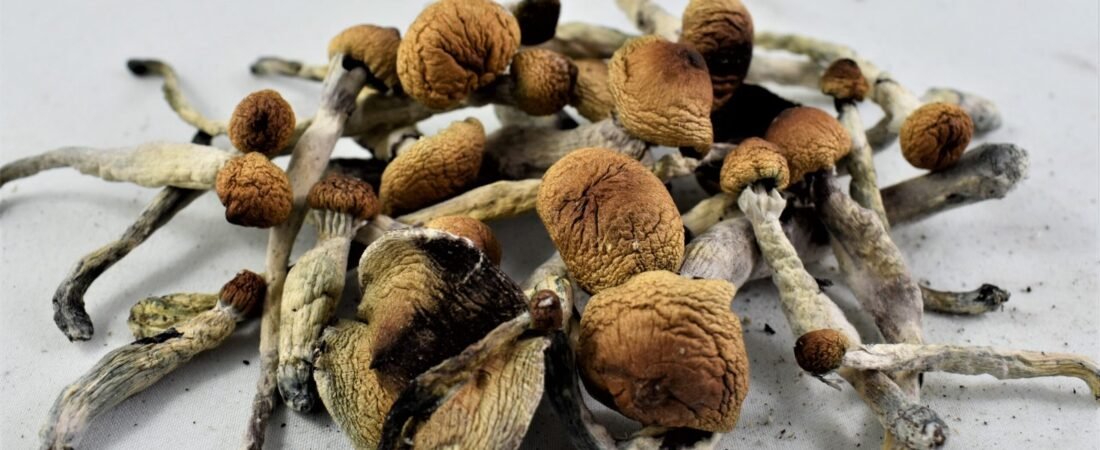 Buy Psilocybin Magic Mushrooms UK (2026)
