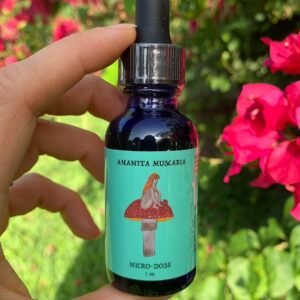 Buy Red cap mushroom microdose 1 oz online UK