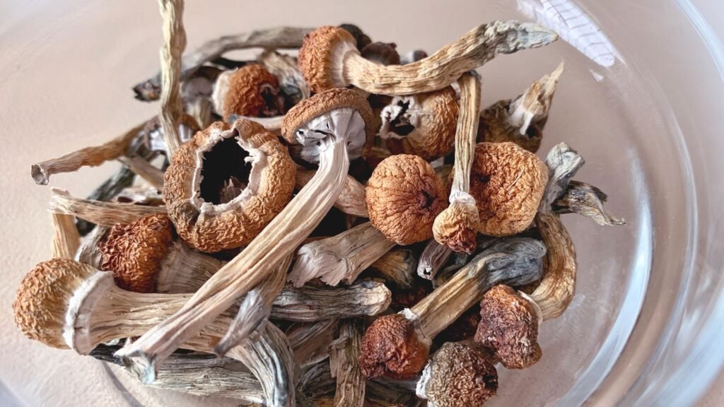 Person holding magic mushrooms with side effects warning for depression treatment in 2026