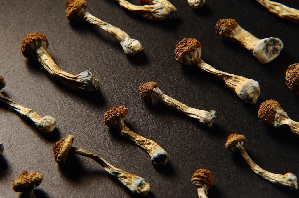 Woman holding magic mushrooms for microdosing depression treatment in 2026